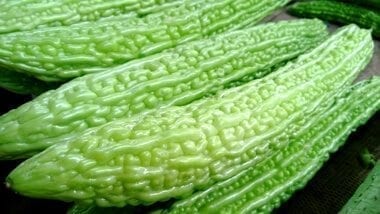 bitter melon