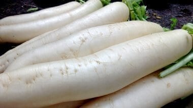 chinese turnip