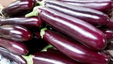 eggplant