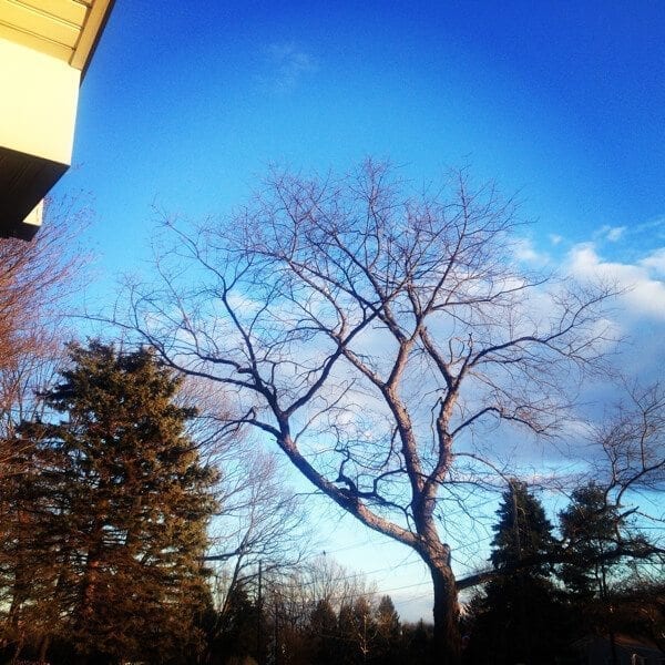 1 Day, 4 People, 4 Directions