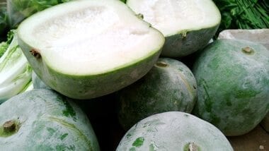 winter melon
