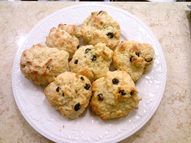 Blueberry Yogurt Scones