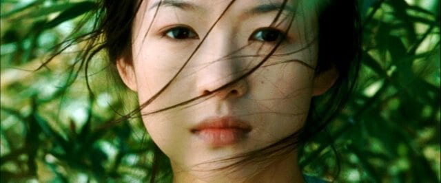 crouching-tiger-zhang - ON LOCATION IN HONGCUN, by thewoksoflife.com