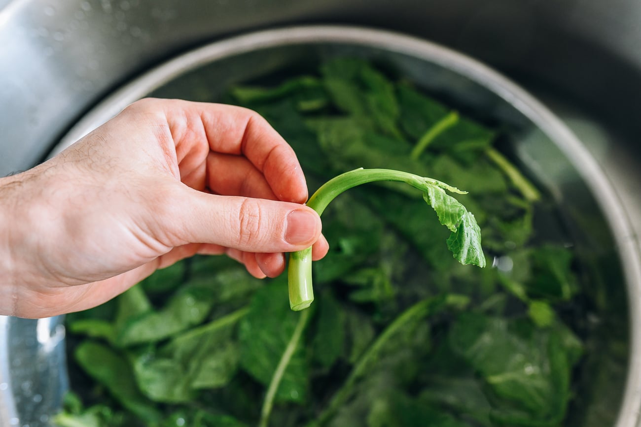 Chinese Broccoli Stem