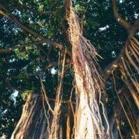 16 Reasons Why Hawaii is Pretttttty Much The Bomb, by thewoksoflife.com