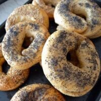 Homemade Bagels Recipe - Beijing Survival Guide, by thewoksoflife,com