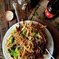 Chicken Pan-Fried Noodles (Gai See Chow Mein) by thewoksoflife.com