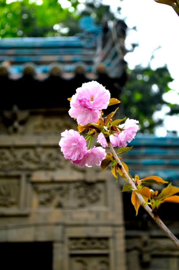 A Trip to Huashan and Xi'an by thewoksoflife.com 