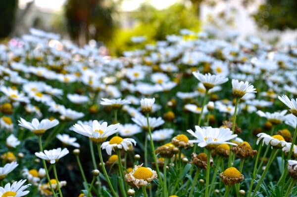 How to See Istanbul In One Day by thewoksoflife.com