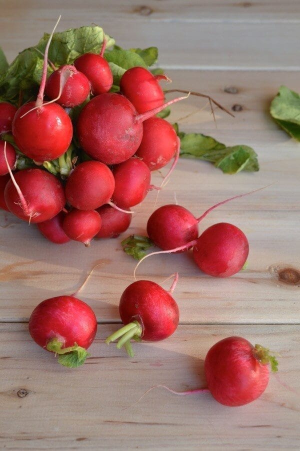 Fresh Radishes by thewoksoflife.com