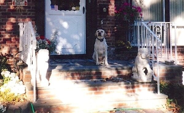 Jake by thewoksoflife.com