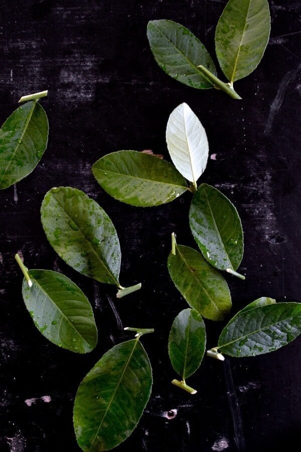 Beef Rendang, A Malaysian Classic, by thewoksoflife.com