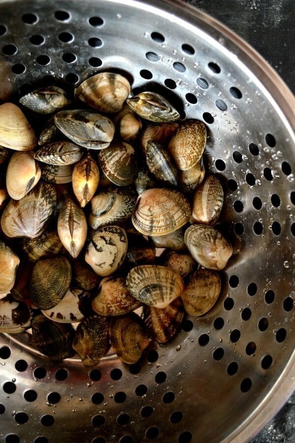 Stir-Fried Fresh Clams in Black Bean Sauce by thewoksoflife.com