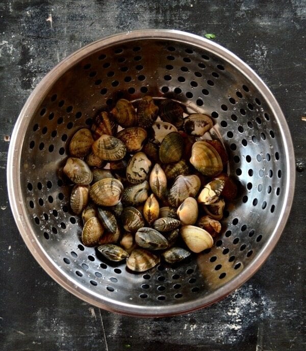 Stir-Fried Fresh Clams in Black Bean Sauce by thewoksoflife.com