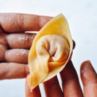 How to Fold Wontons: 3 Ways