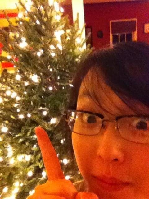 The Woks of Life Christmas Wishlist