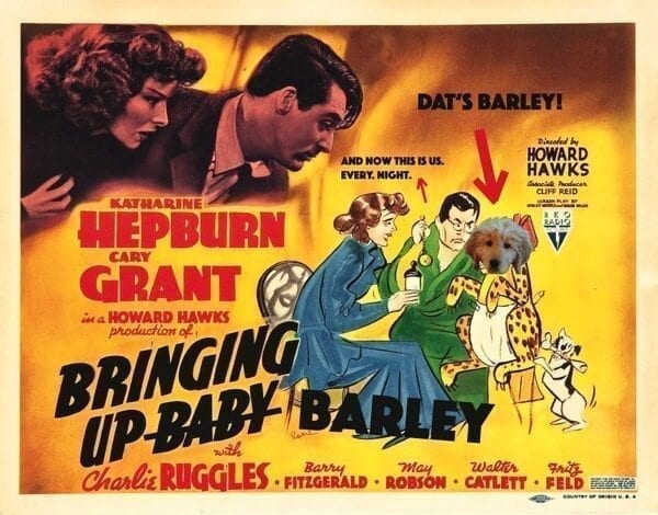 Bringing Up Barley: The Puppy Chronicles