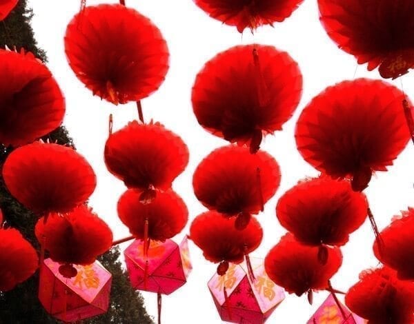 Chinese New Year Menu