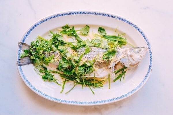 Steamed Whole Fish - Chinese Style, by thewoksoflife.com