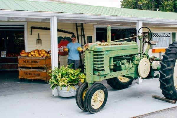 Bill at Dooley Grove Farm store