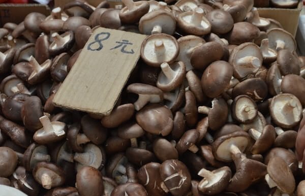 chinese-black-mushrooms