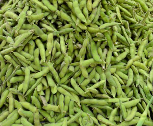 edamame-fresh-soy-beans