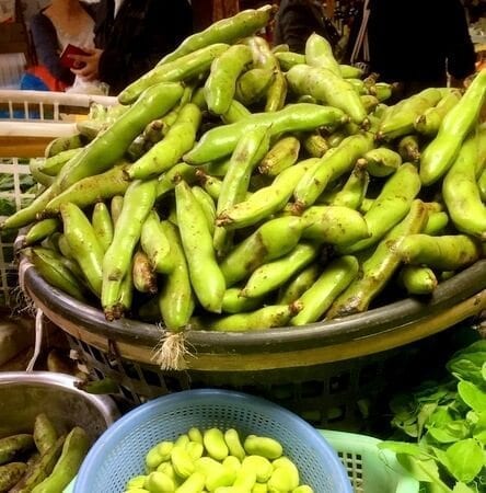 fava-beans-with-pod