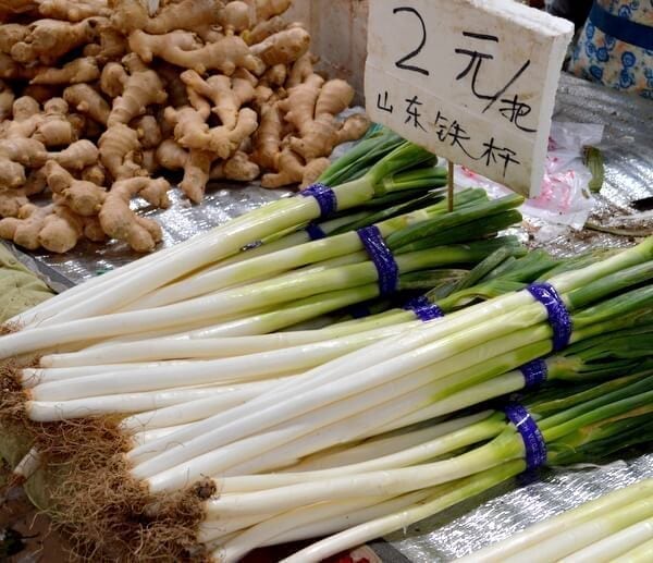 large-green-onion