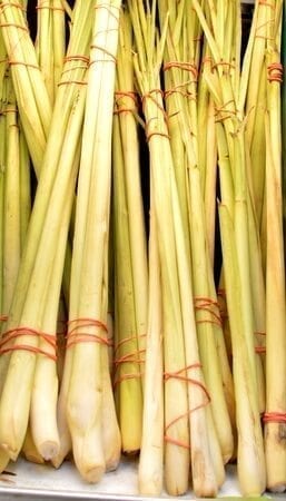 lemongrass