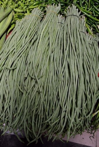 long-green-beans