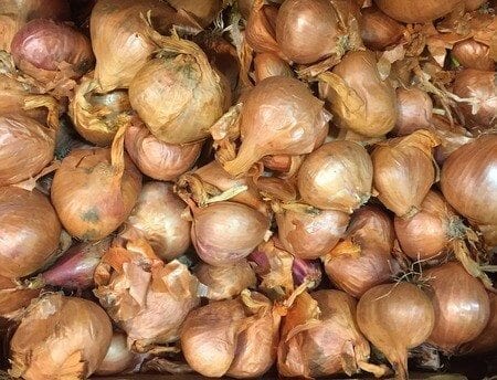 shallots