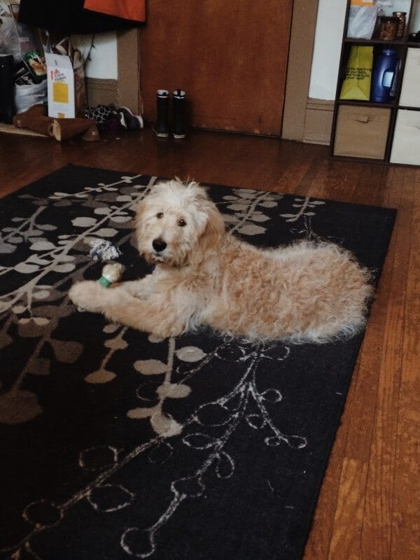 Processed with VSCOcam with m5 preset