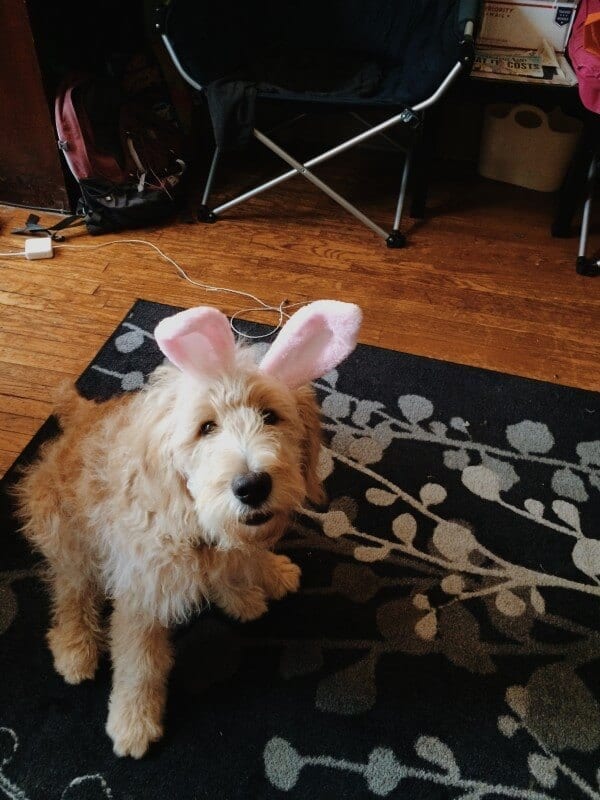 Processed with VSCOcam with m5 preset