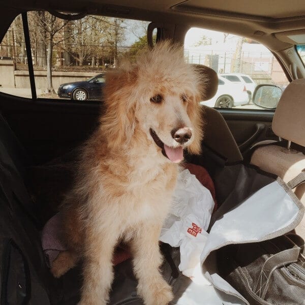 Processed with VSCOcam with m5 preset