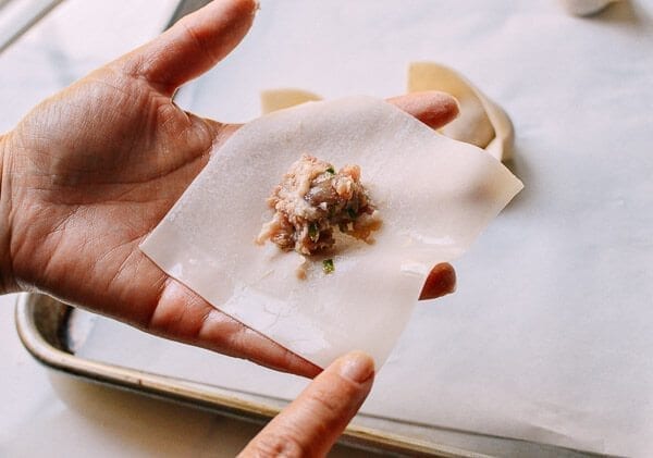 Sichuan Spicy Wontons, by thewoksoflife.com