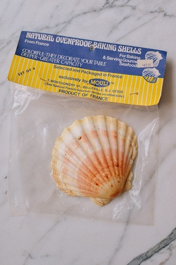 Scallop Shells