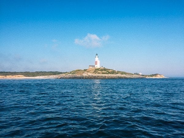 Pan Fried Fish - Chinese Whole Fish Recipe, porgy-fishing-woks-of-life, by thewoksoflife.com