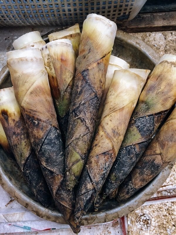 Braised Spring Bamboo Shoots (油焖笋), by thewoksoflife.com