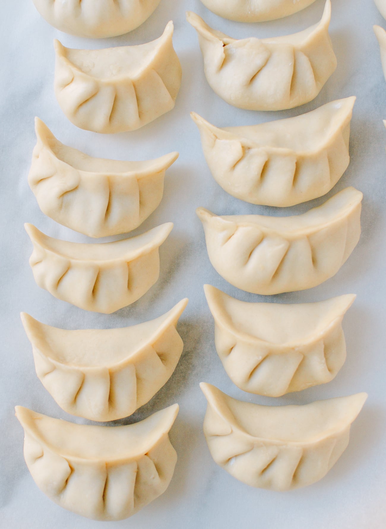rows of assembled dumplings