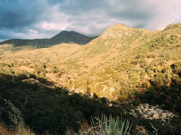 Sequoia National Park, by thewoksoflife.com