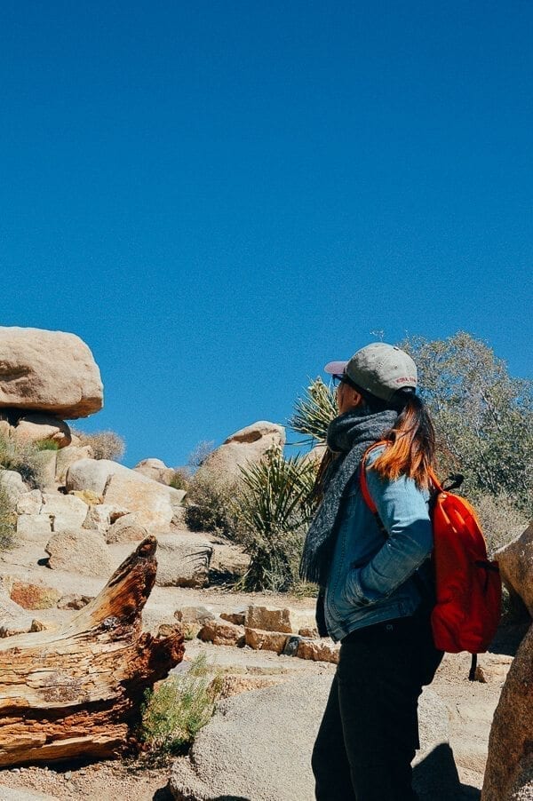 Joshua Tree Hiking