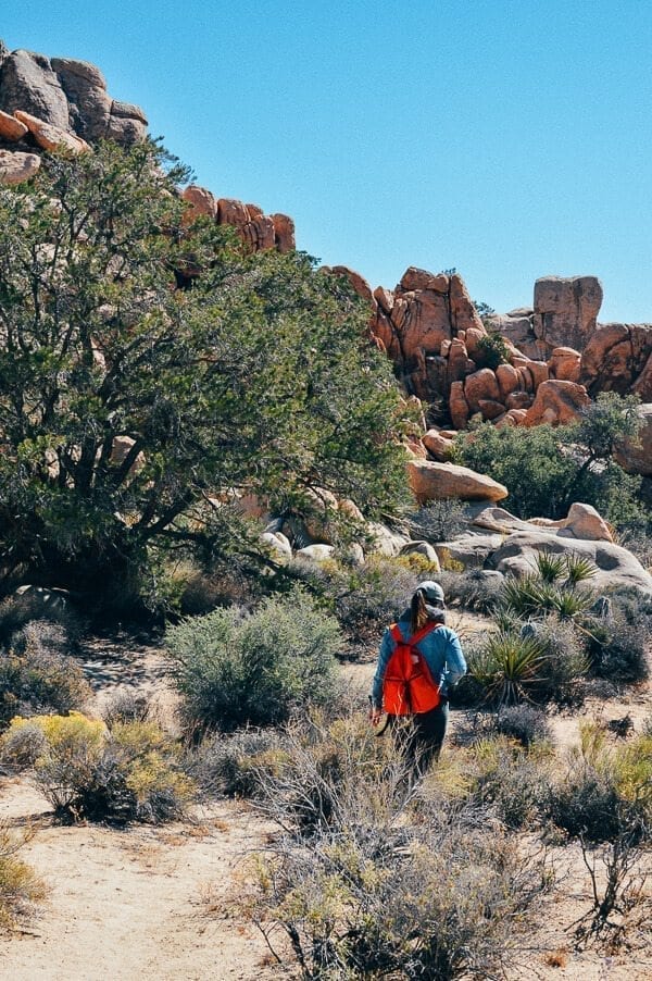 Joshua Tree Hidden Valley