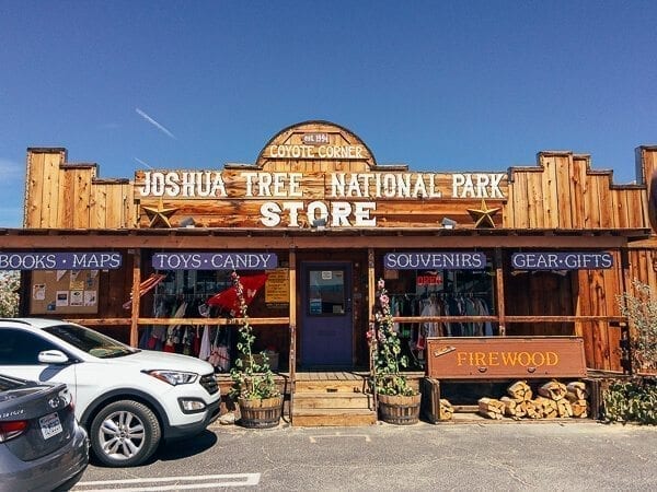 Coyote Corner Joshua Tree