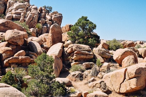 Joshua Tree Hidden Valley