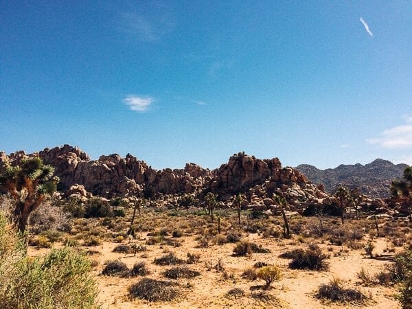 Joshua Tree National Park