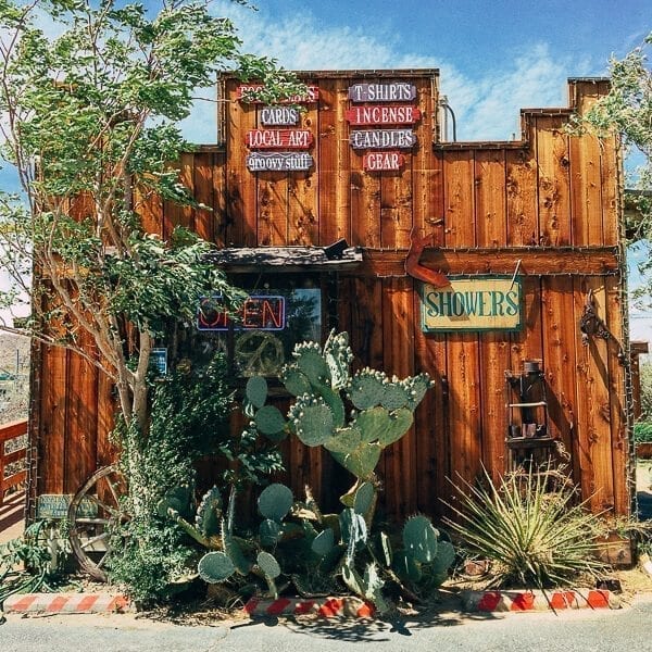 Joshua Tree Coyote Corner