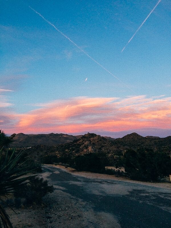 Joshua Tree Sunset