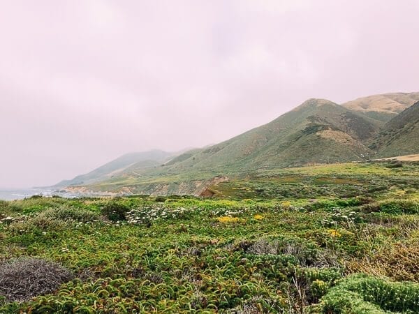 Big Sur, by thewoksoflife.com