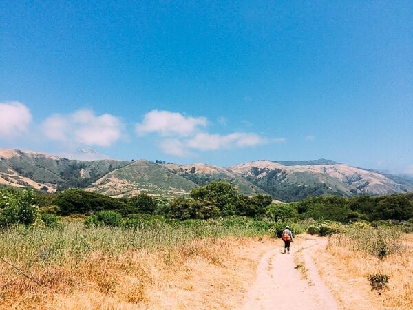 Andrew Molera State Park Trail, by thewoksoflife.com