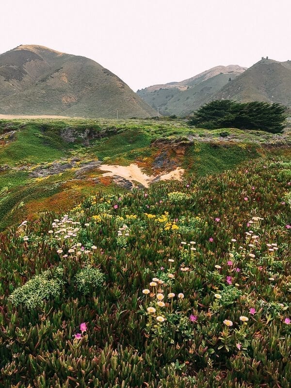 Big Sur, by thewoksoflife.com